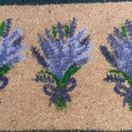Lavender Apartment