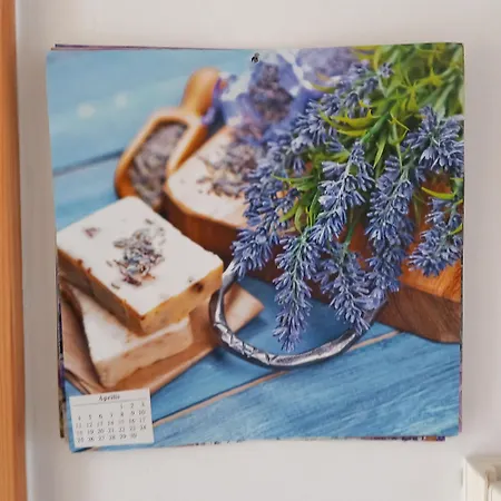 Lavender